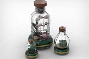 This LEGO Terrarium Set Is The One Thing Missing From Its Botanicals Collection