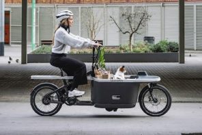 Electric Cargo Bike TARRAN T1 Pro Makes Family Rides and Shopping a Breeze